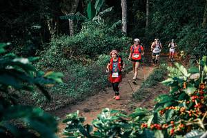 BIB: 
                            <button type="button" onclick="openModal(25826946)" class="btn btn-primary btn-sm float-right btn-popup" data-toggle="modal" data-target=".modal-high-quality">
                        <i class="fas fa-shopping-cart"></i> Add to Cart
                    </button>
                                            <button type="button" onclick="isThisMe(25826946, true)" class="btn btn-success btn-sm float-right btn-popup btn-isme hidden" data-toggle="tooltip" data-placement="bottom" title="นี่คือรูปของคุณใช่ไหม คลิกที่นี่เพื่อเอาเข้าอัลบั้ม">
                        <i class="fas fa-plus"></i> Add to album
                    </button>
                    <button type="button" onclick="isThisMe(25826946, false)" class="btn btn-warning btn-sm float-right btn-popup btn-isnotme hidden">
                        <i class="fas fa-ban"></i> Remove from album
                    </button>